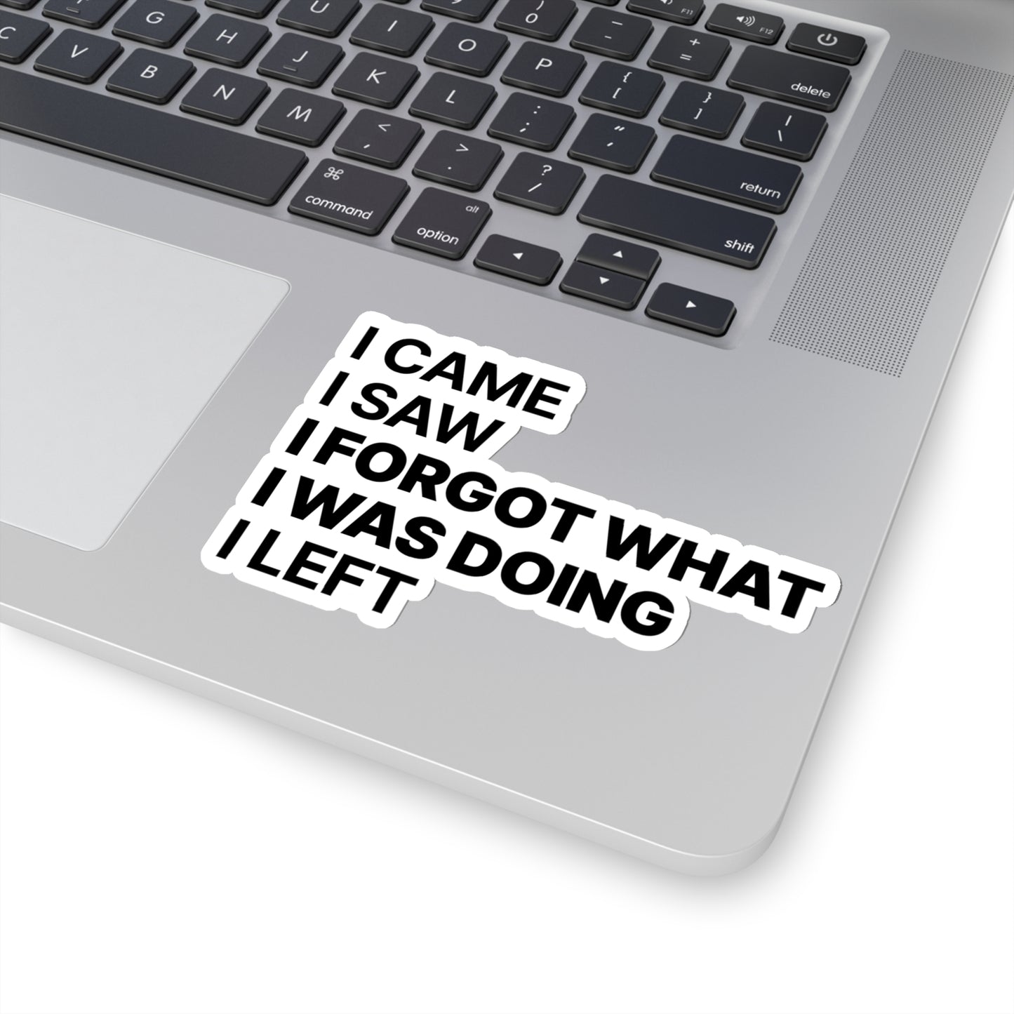 I Came. I Saw. I Forgot What I was Doing. I Left. Funny Forgetful Sticker, Sticker for Laptop, Phone, Hydroflask or Car
